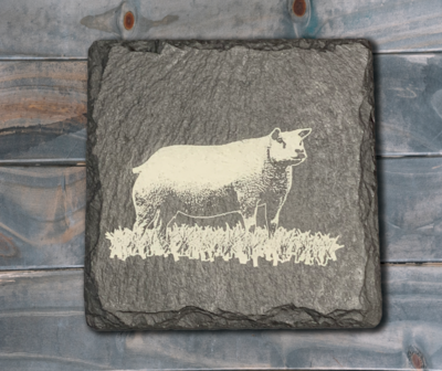 Single Beltex Slate Coasters