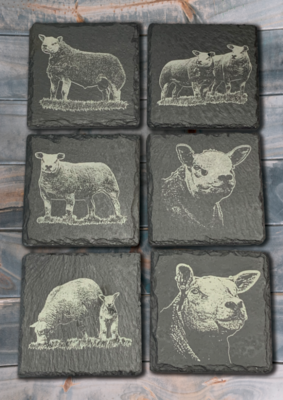 Set of 6 Texel Slate Coasters