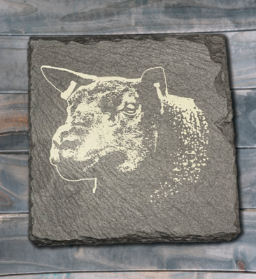 Single Blue Texel Coasters