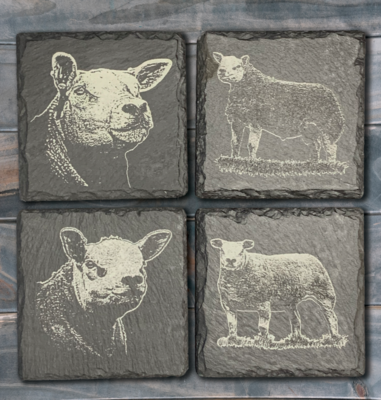 Set of 4 Texel Slate Coasters