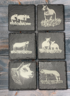 Set of 6 Beltex Slate Coasters