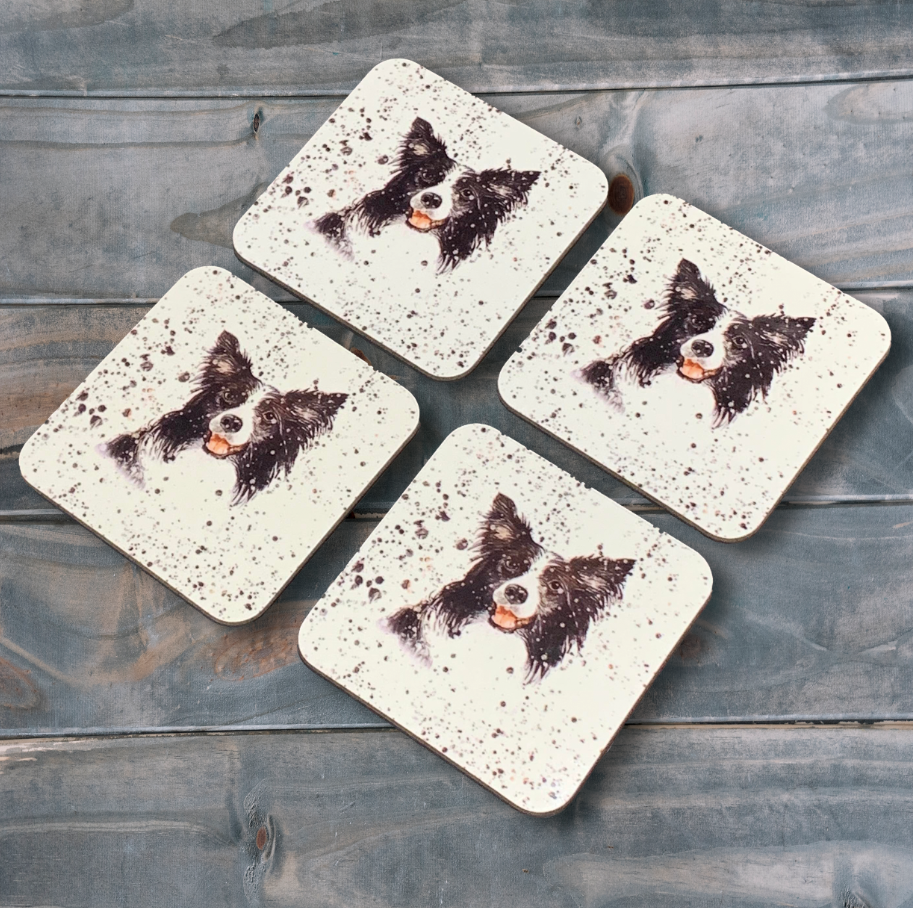 Collie Dog Coasters 4pk