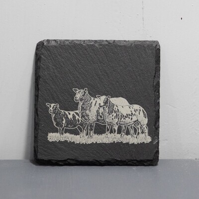Single Dutch Spotted Coasters