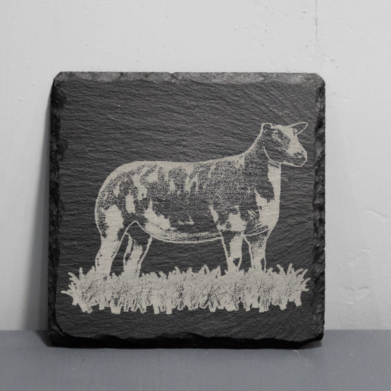 Single Dutch Spotted Coasters, Options: Ewe #1