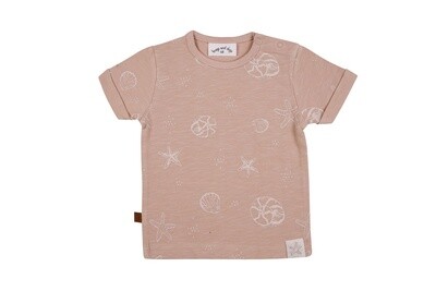 F&amp;D Shell shirt Terracotta