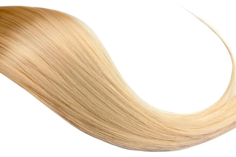 Chestnut Slawisch Bonding Chestnut Slawisch Bonding