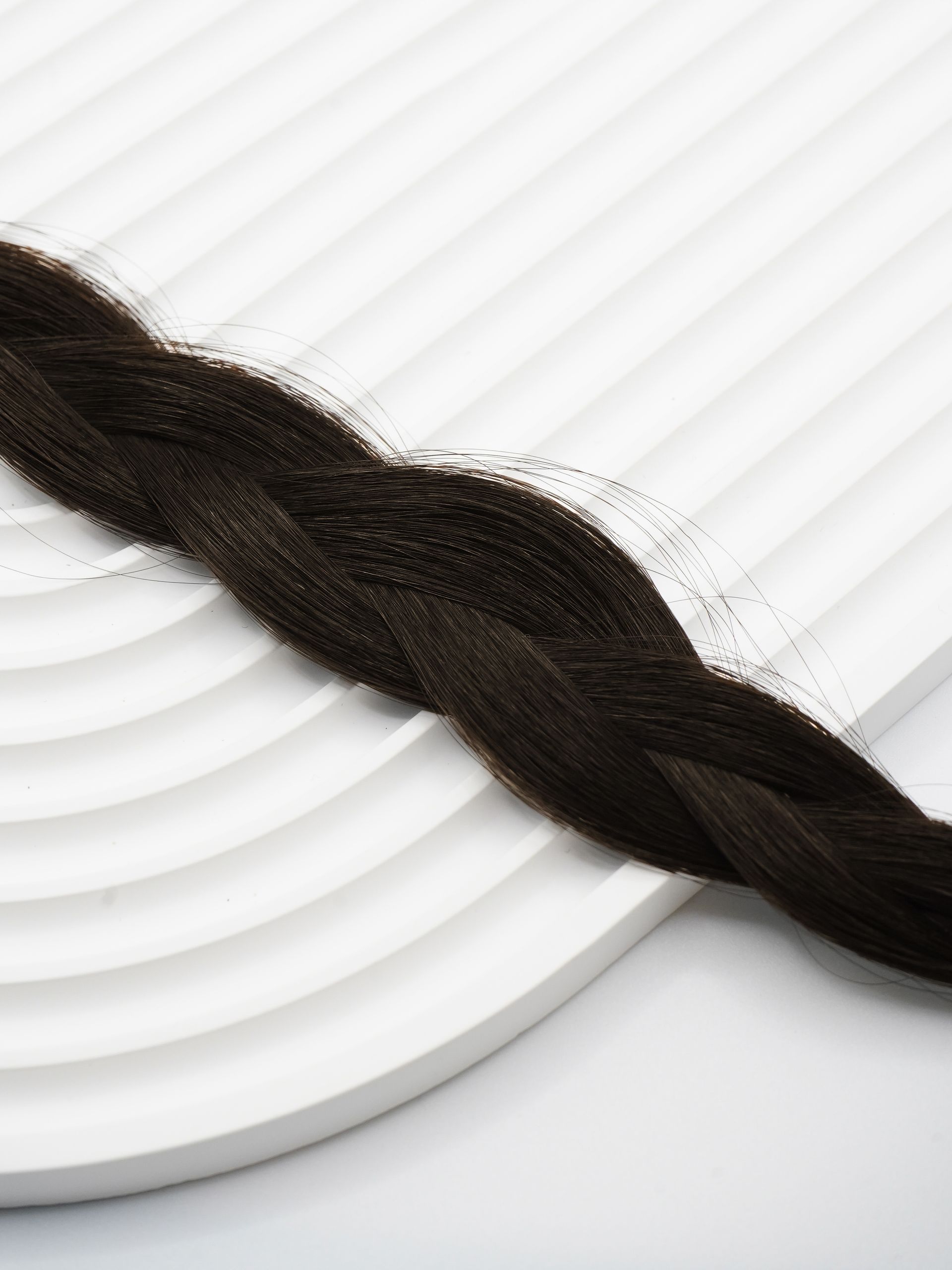 Schwarzbraun Rohhaartresse