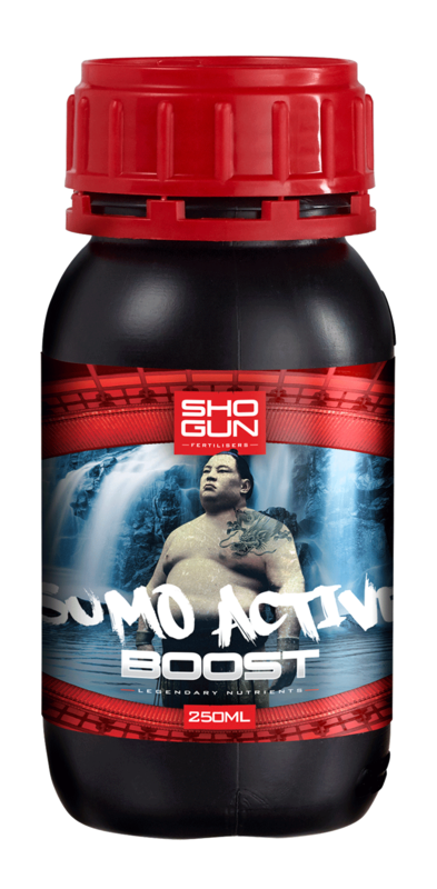 SHOGUN SUMO ACTIVE BOOST