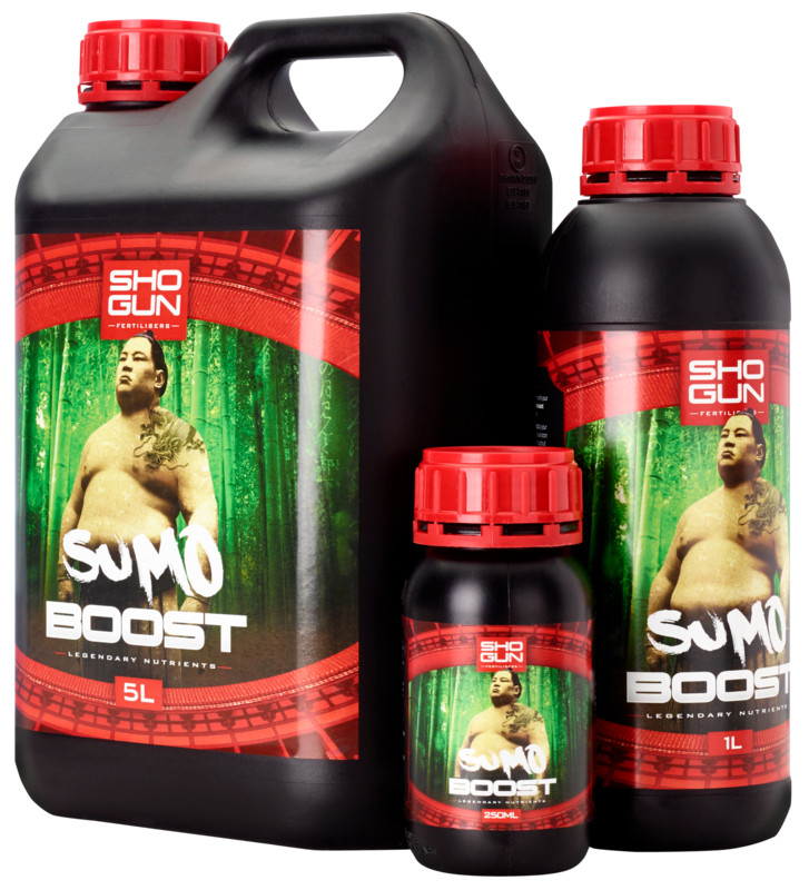 SHOGUN SUMO BOOST