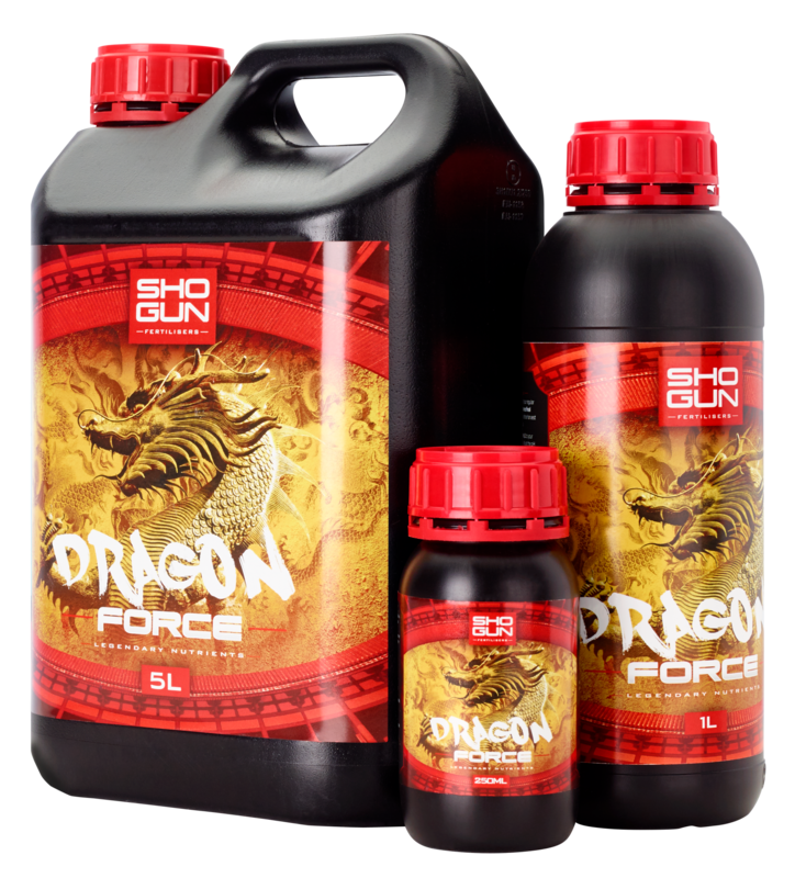 SHOGUN DRAGON FORCE
