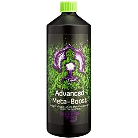 Buddhas Tree Advanced Meta-Boost