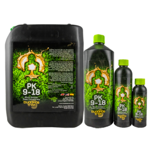 Buddhas Tree PK 9-18