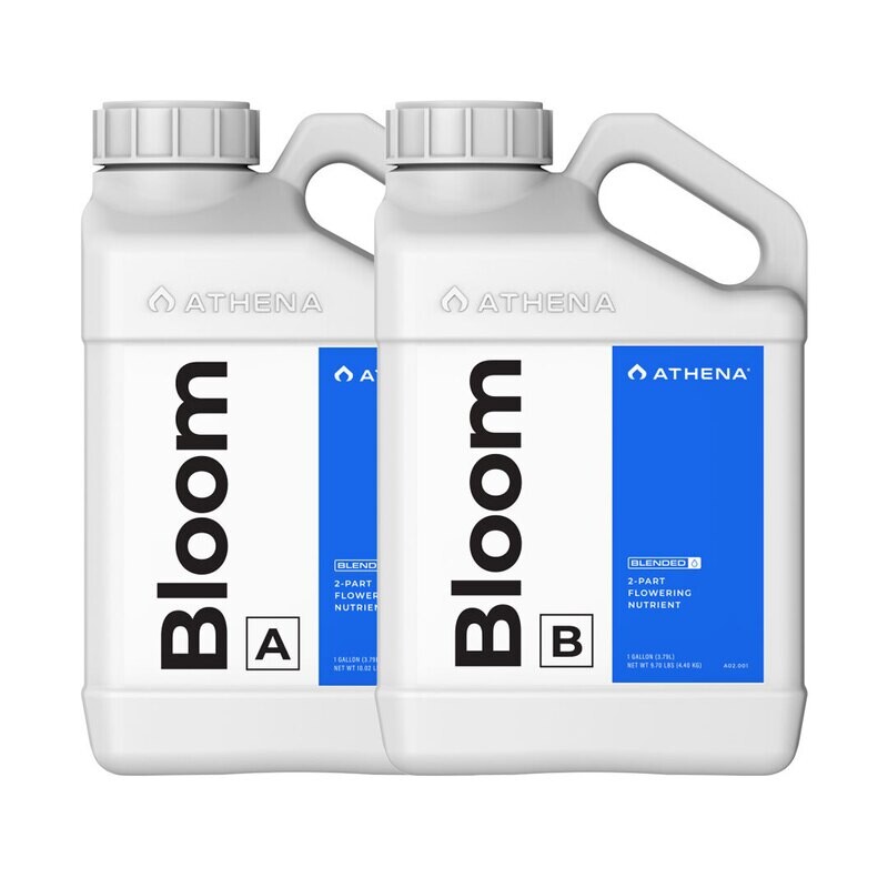Athena Bloom (Blended) - 1 Gallon