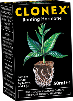 Clonex 50ml