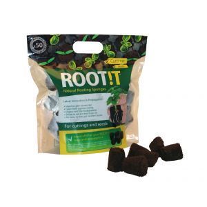 ROOT!T Natural Rooting Sponge - 50 Cubes