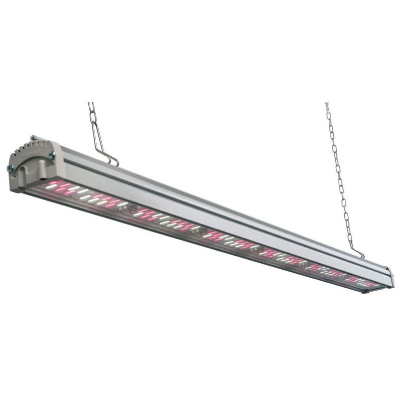 Valoya B100 AP673 LED Grow Bar - 120cm (4ft)
