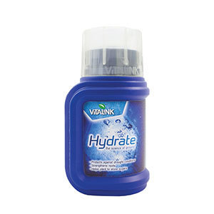 VitaLink Hydrate