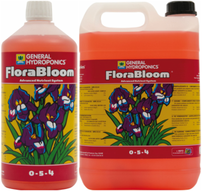 Flora Bloom