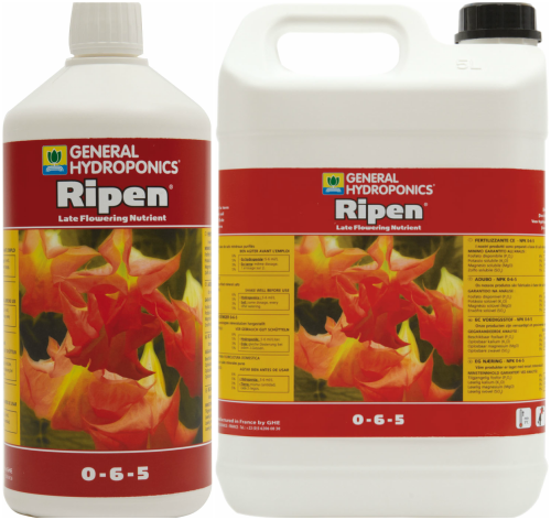 Ripen