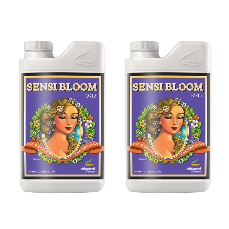 Sensi Bloom A&B
