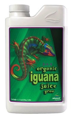 Iguana Grow