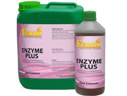 Ferro Enzyme Plus