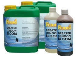 Ferro Greater London Bloom