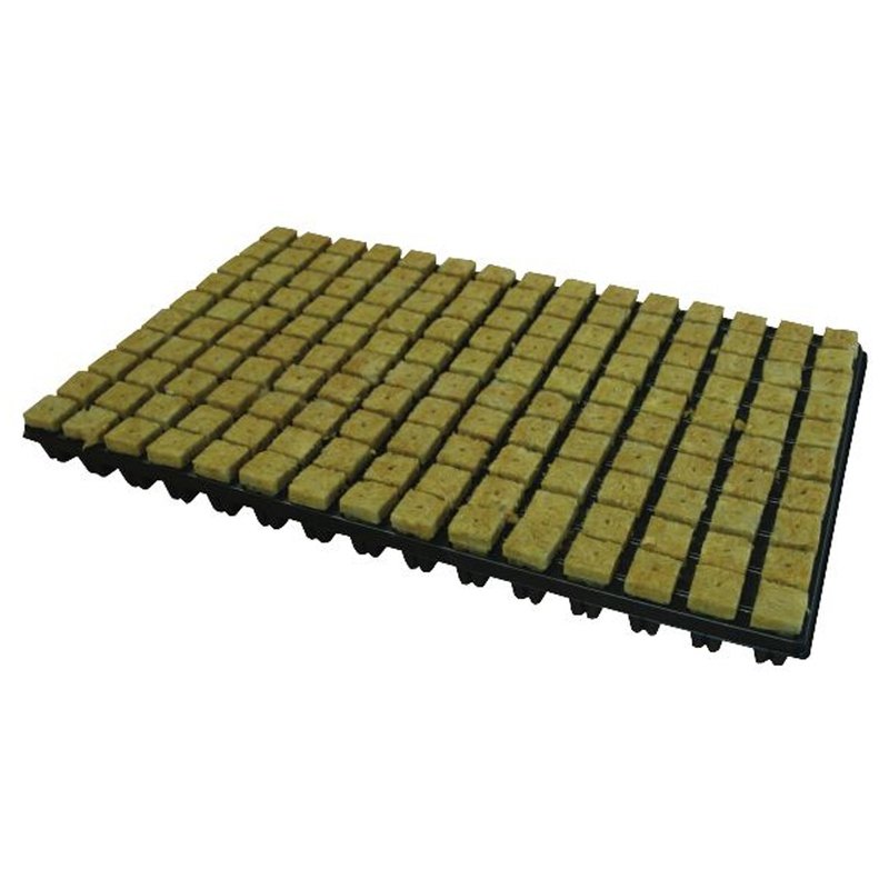 Grodan Small (25mm) Propagator Cubes in a Tray