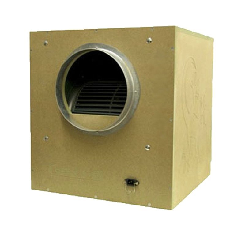 Gekko Box Fan 12"
