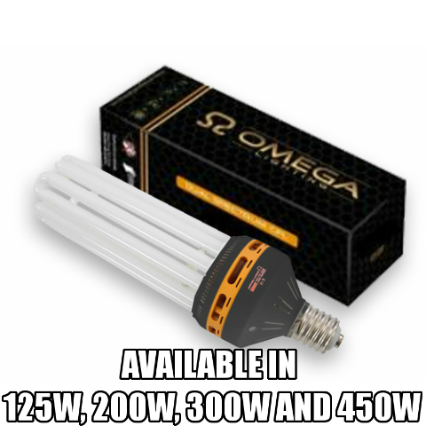 Omega Dual spectrum CFL