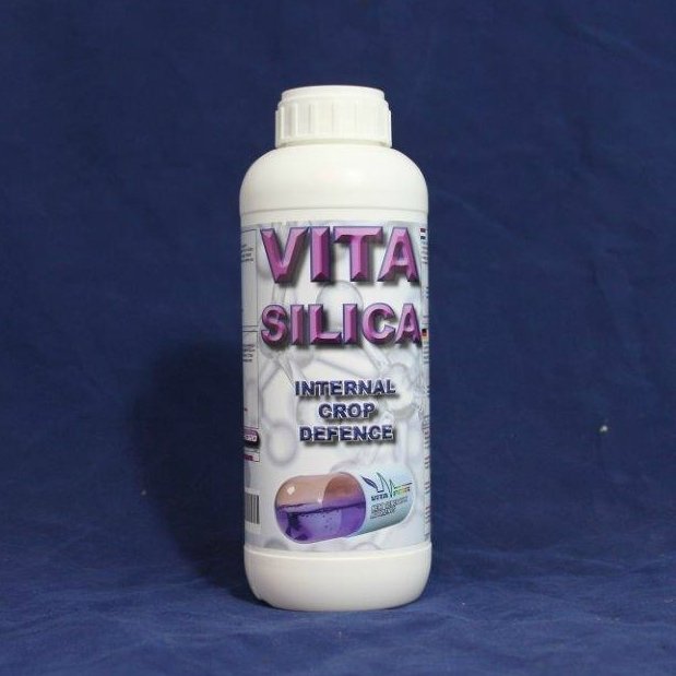 VITASILICA