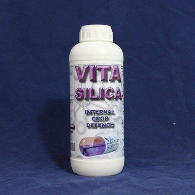 VITASILICA