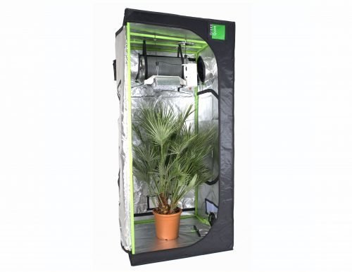Green-Qube 100