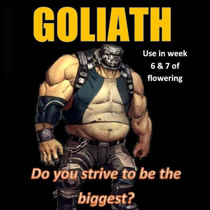 Goliath