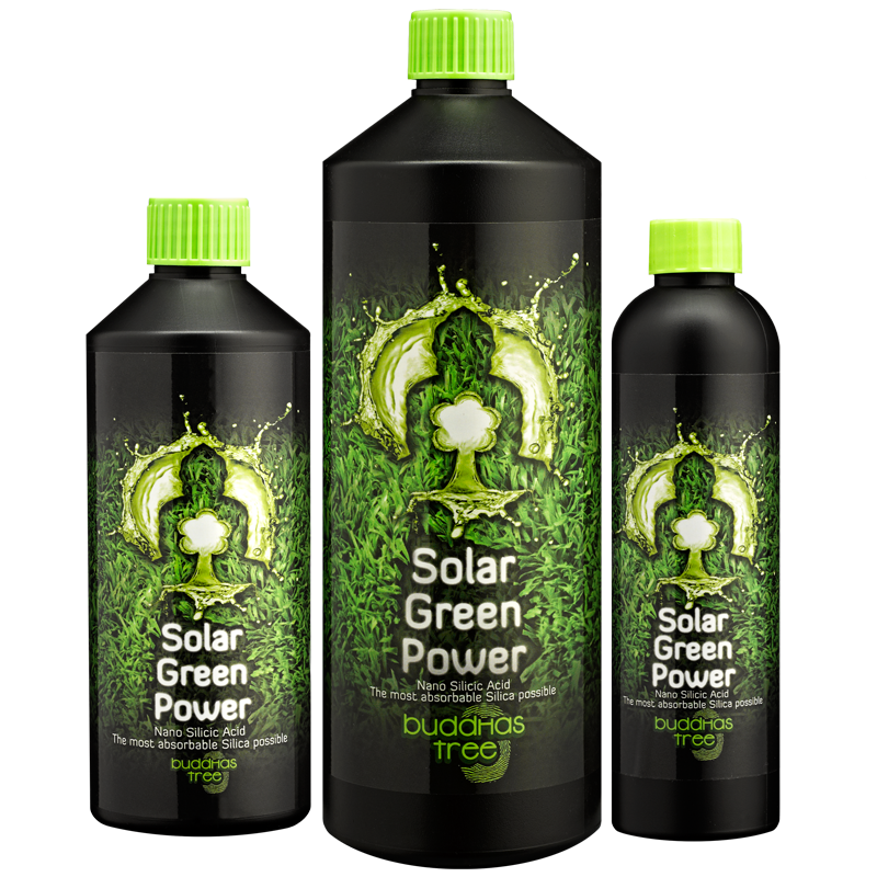 Solar Green Power