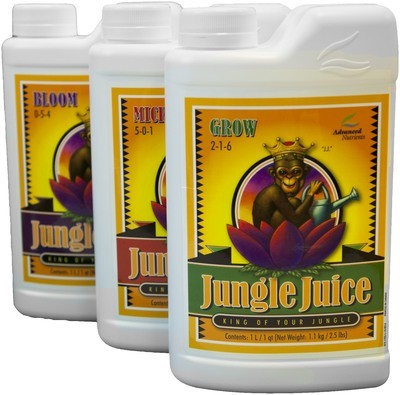 Iguana Jungle Juice