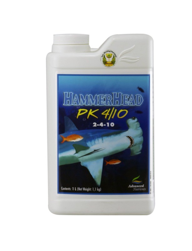Hammerhead