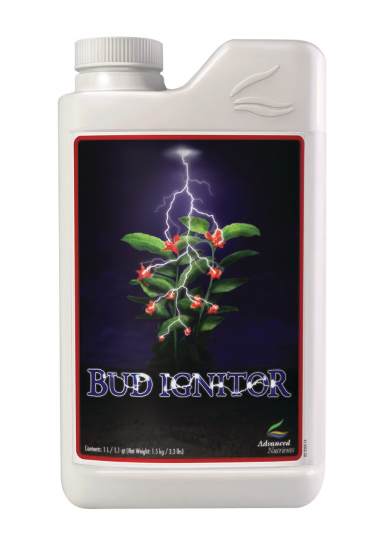 Bud Ignitor