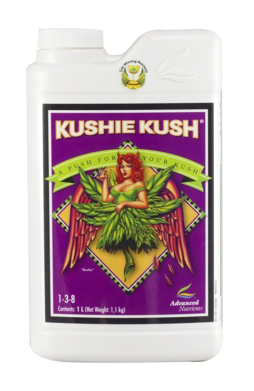 Kushie Kush