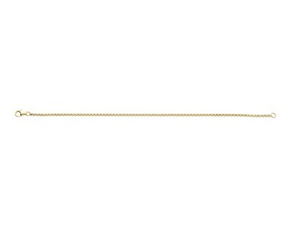 9ct Yellow Gold Box Belcher 1 Ankle Chain