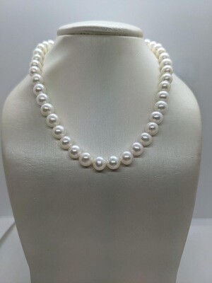 Sterling Silver White Pearl Row Necklace 6-6.5mm