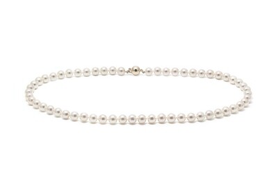 14ct Yellow Gold Akoya Pearl Row Necklace 6.5-7mm