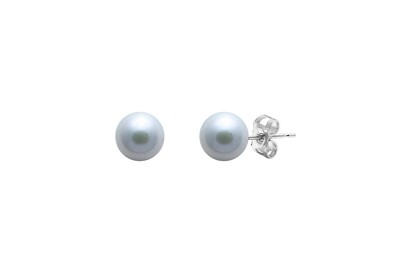 9ct White Gold Grey River Pearl Stud Earrings 5-5.5mm
