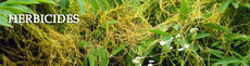 Weed Control &amp; Herbicides
