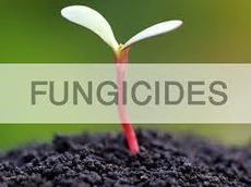 Fungicides