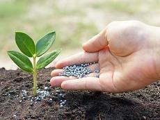 Fertilizers