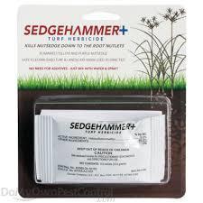 SledgeHammer+