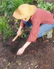 Herbicides for Gardens