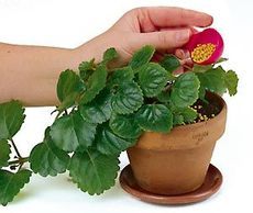 Fertilizers for Gardens