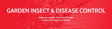 Insect &amp; Disease Control for Gardens